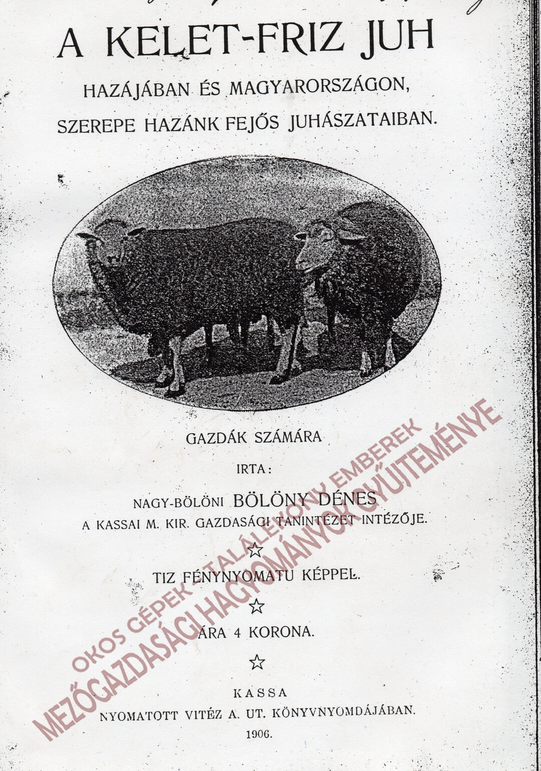 A Kelet-Fríz juh (1906)